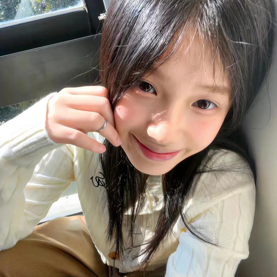 在无爱之森呐喊：深入密森